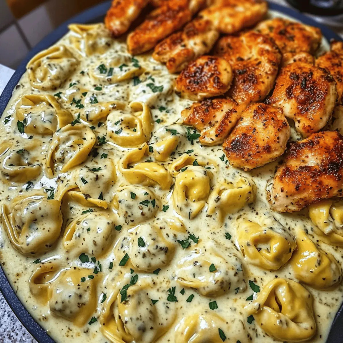 Creamy Velveeta Chicken Tortellini with Mozzarella Garlic Sauce Bliss
