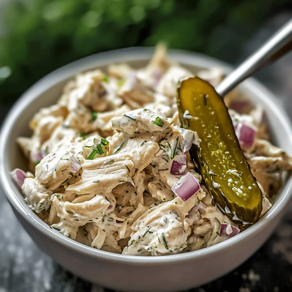 Savory Dill Pickle Chicken Salad That Will Wow Your Tastebuds